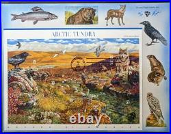 EDW1949SELL USA Terrific collect 10 Diff. Nature in America Pugh Hand Painted