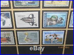 Federal Duck Stamps Winchester Collection 1934-1988 Framed/glass VERY NICE