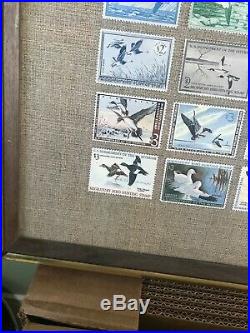 Framed United States Federal Migratory Duck Stamp Collection Print 1934-1975 Art