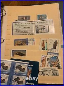Immense lot of DUCK STAMPS from dealer stock RW1-67, 180 stamps, M/U, huge CV