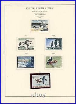 UNITED STATES-13 Ducks stamps Scott #RW24-#RW36 Mounted on Scott Pages