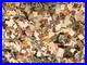 US Precancels Nice Local & Bureau Mixture ½ Pound Approx 5000 Stamps US Precancels Nice Local & Bureau Mixture ½ Pound Approx 5000 Stamps