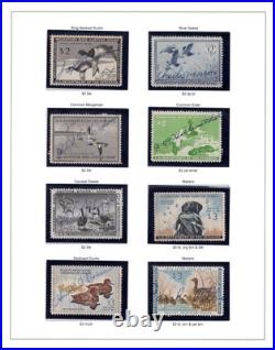 Us 1935-1978 Collection Of 43 Duck Hunting Stamps, Mostly Used, Some Unsigned