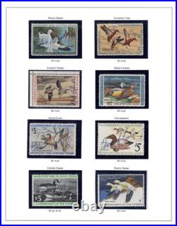 Us 1935-1978 Collection Of 43 Duck Hunting Stamps, Mostly Used, Some Unsigned